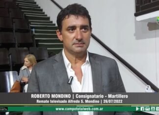 Entrevista a Roberto Mondino