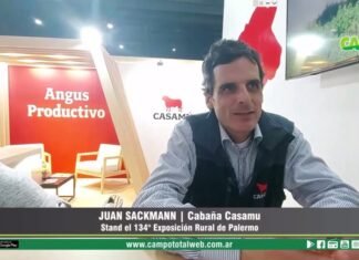 Entrevista a Juan Sackmann