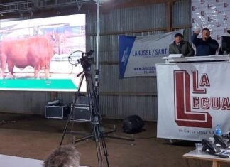 El Clásico de La Legua, con volúmen e innovación