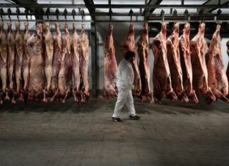En mayo las vacas en la mira
