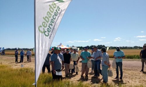 Jornada-de-Cebada-Orense-2022-10-1024x768