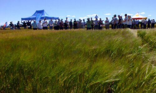 Jornada-de-Cebada-Orense-2022-16-1024x768