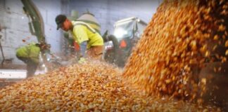 Las DJVE de maíz y nuevo récord histórico en marzo