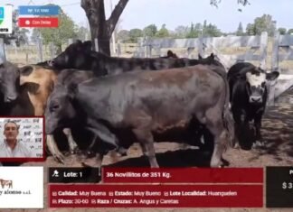 Martín y Alonso también dió por cerrado en año
