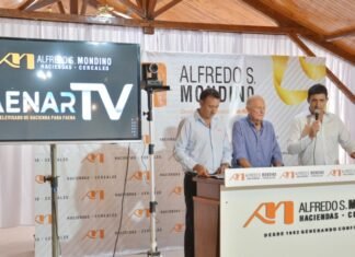 Mondino y un arranque a fondo en la TV
