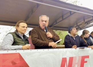 En Acha el mercado le puso valor a la calidad