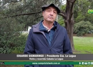 Entrevista a Eduardo Sigmaringo