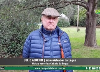 Entrevista a Julio Alberdi