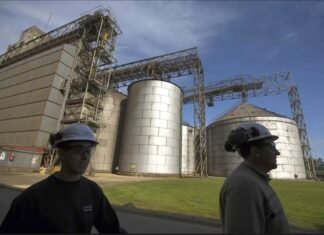 La industria procesadora de soja atraviesa “la década perdida”
