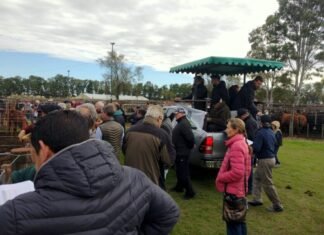 Con valores destacados, en Dorrego la feria a pleno