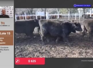 Firmeza en la invernada por la web