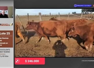 La web ya muestra otro camino
