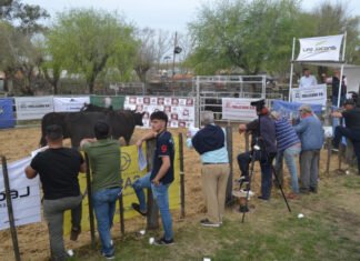 Se viene la tercera venta del año de La Cassina