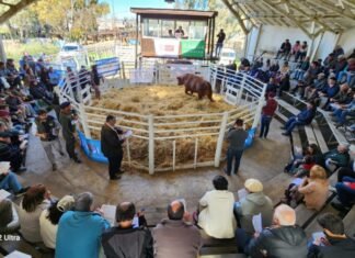 Los «Productores» consolidan su propuesta
