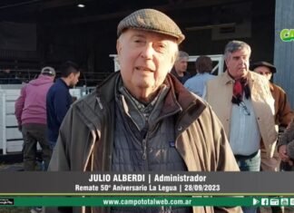 Entrevista a Julio Alberdi