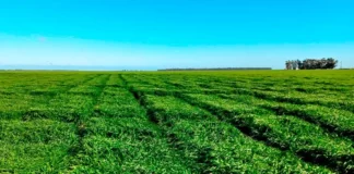 La Cebada nuevamente tendrá su jornada en Orense