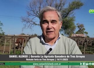 Entrevista a Daniel Alonso
