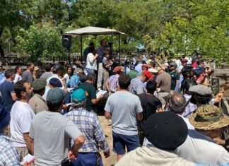 Wallace se «agrandó» en su propia tierra