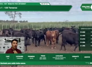 La invernada tuvo sus manos en la pantalla