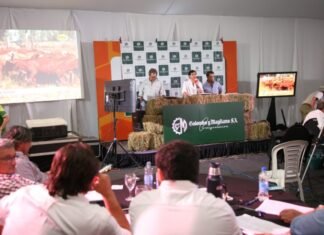 Agenda de remates de hacienda confirmada en Expoagro