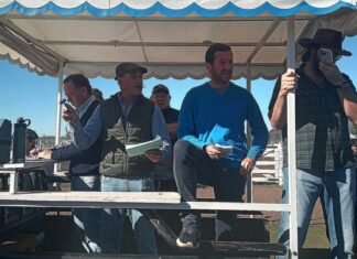 En Suárez el gordo tuvo su momento