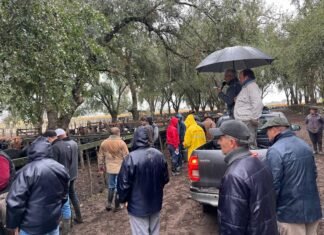 En San Jorge también bajo la lluvia