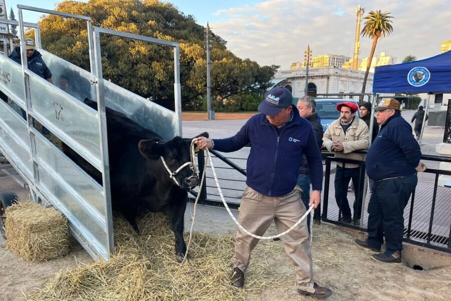 Con «Fiesta» comenzó la Expo de Otoño Angus | CAMPO total web