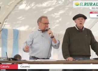 Confianza, el mayor capital de Casamú