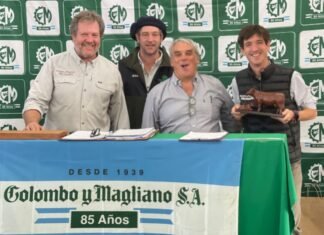 Los engranajes, el gran secreto de Agromelú
