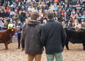 “Que el presidente venga a la Rural es un mensaje muy importante para el sector”