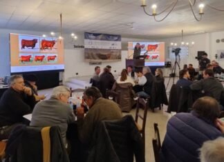 Genética seleccionada, para agilidad y valores en Cañuelas