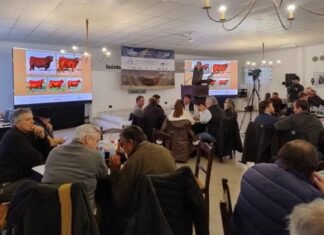 El resultado de un programa consistente