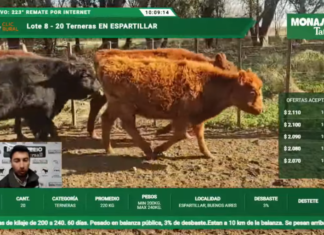 Monasterio llegó al 223 en el streaming