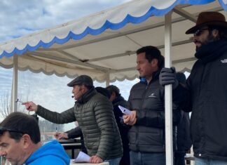 Interés por la vaca en Coronel Suárez
