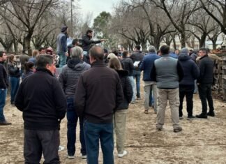En Olavarría la demanda activa y a martillo firme