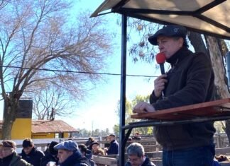 Los vientres fueron protagonistas en Azul