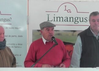 Los Pirulos, con la solidez de un proyecto serio