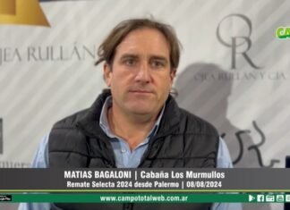Entrevista a Matias Bagaloni
