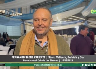 Entrevista a Fernando Saenz Valiente