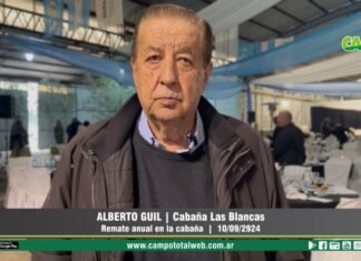 Entrevista a Alberto Guil