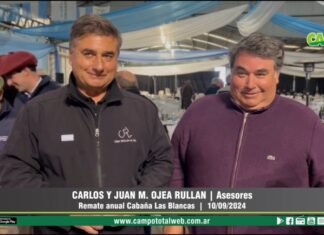 Entrevista a Carlos y Juan M. Ojea Rullán