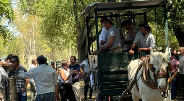 En Lobos el mercado mantuvo la tendencia
