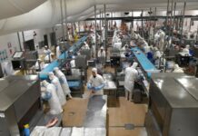 El comercio mundial crece mucho más que la producción