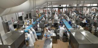 El comercio mundial crece mucho más que la producción