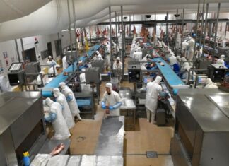 El comercio mundial crece mucho más que la producción