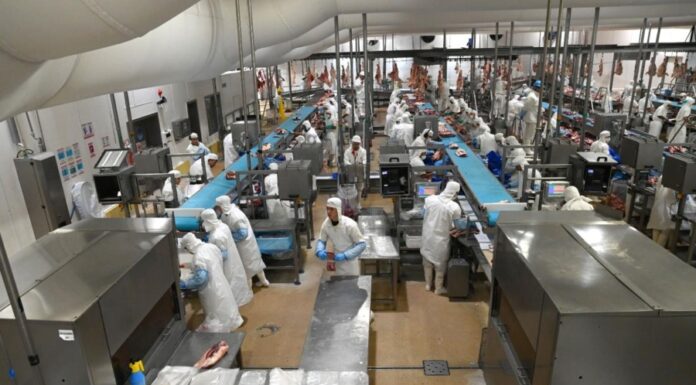 El comercio mundial crece mucho más que la producción