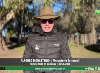 Entrevista a Alfonso Monasterio