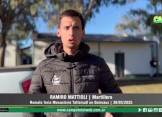 Entrevista a Ramiro Mattioli