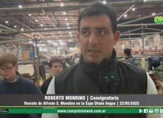 Entrevista a Roberto Mondino