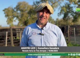 Entrevista a Agustín Lizzi